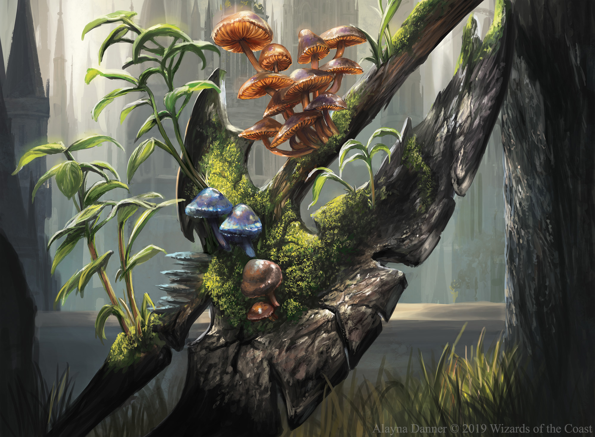 Alayna Danner Magic The Gathering Card Illustrations